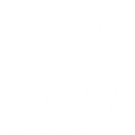Satellite Transmission Icon